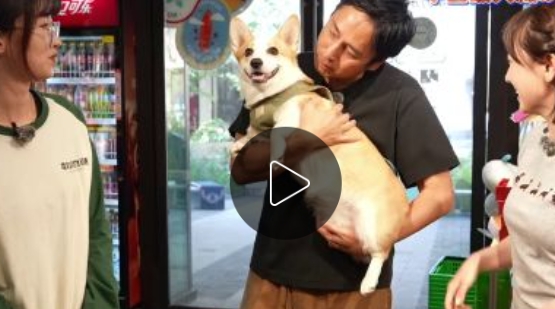 『巡って発見！ぶらり中国周遊紀』(シーズン3) #2