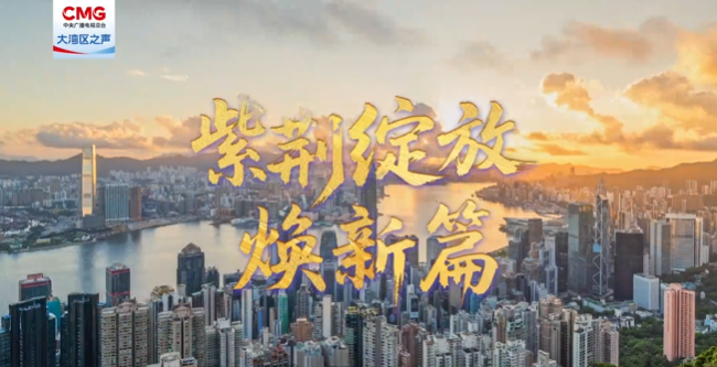 紫荆绽放焕新篇 | 种下爱国种子